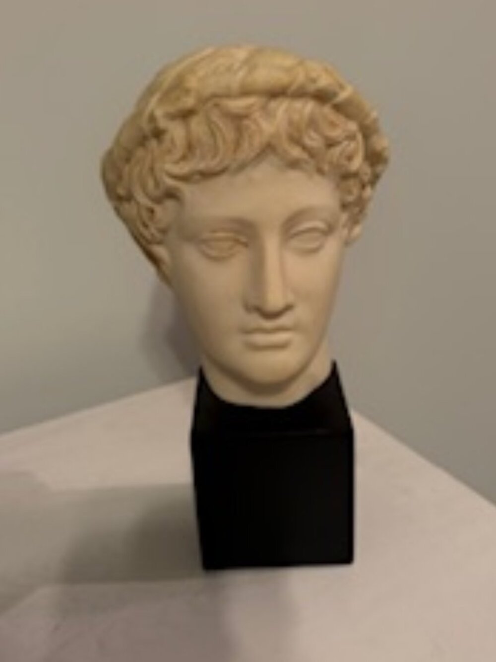 The Met Store - Greek/Roman Reproduction Sculpture / Bust